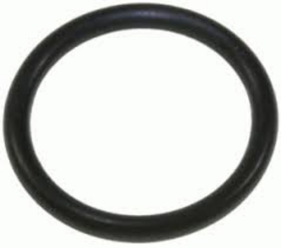 Obrázok z Tesnenie lisu na ovocie